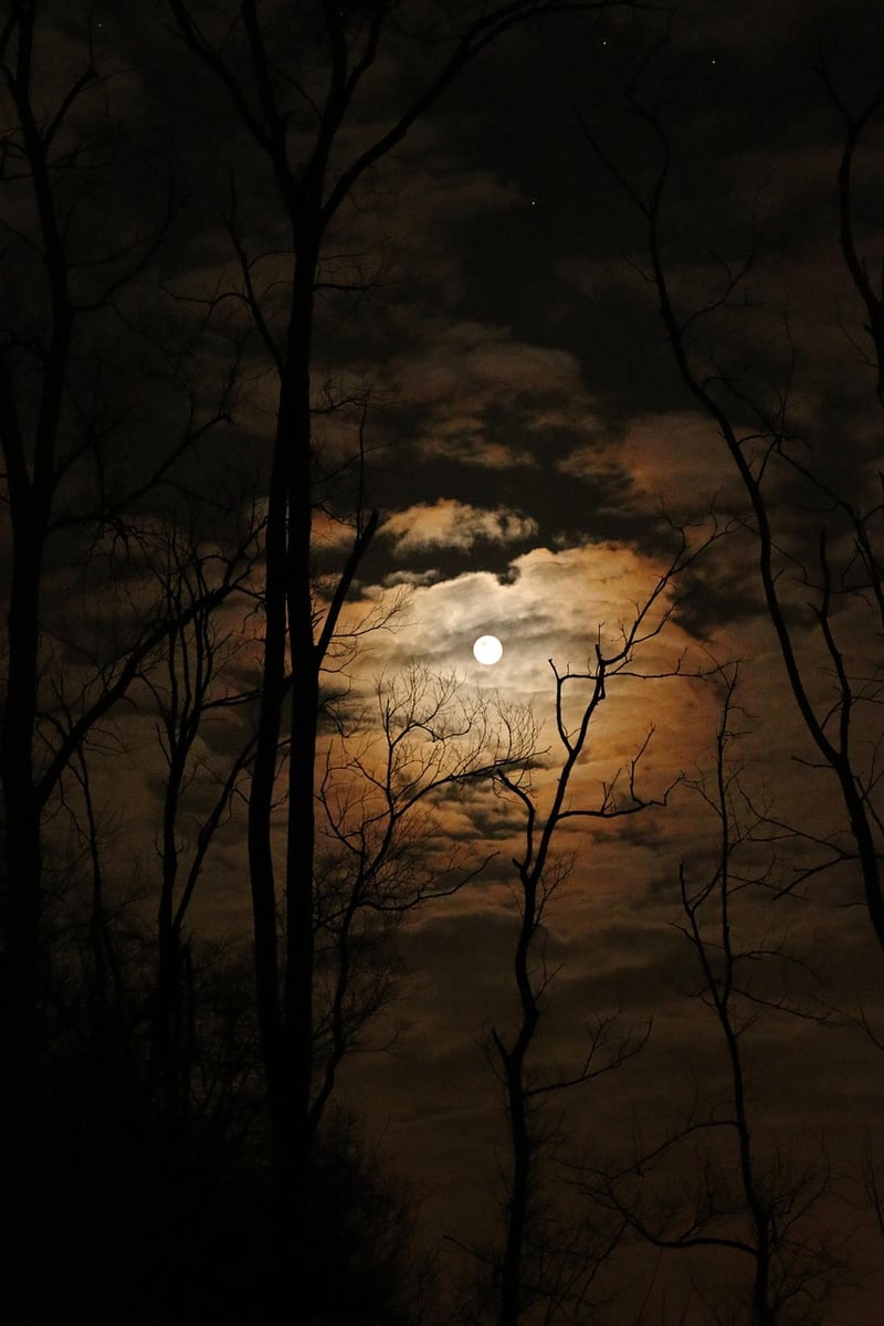 Moonlight Illumination