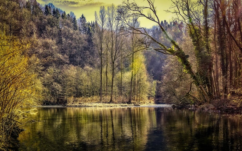 Reflective Pond